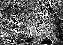 Skamielina