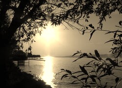 Szary + Sepia