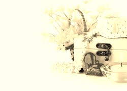 Szary + Sepia