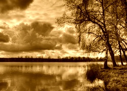 Sepia