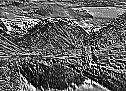 Skamielina
