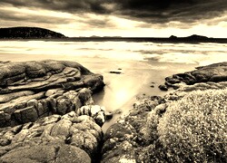 Szary + Sepia