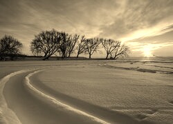 Szary + Sepia
