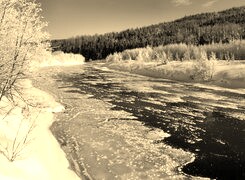 Sepia