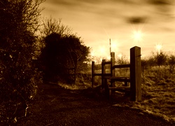 Sepia