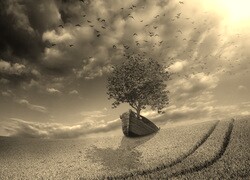 Sepia
