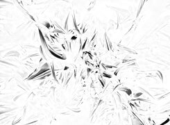 Szary + Negatyw