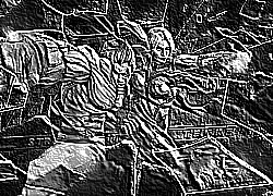 Skamielina