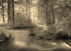 Szary + Sepia