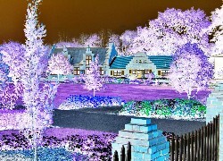Negatyw