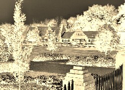 Sepia + Negatyw