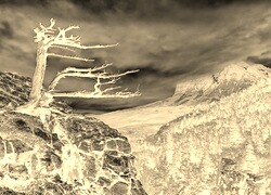 Sepia + Negatyw