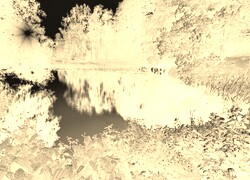 Sepia + Negatyw