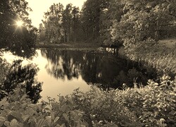 Sepia