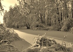 Szary + Sepia