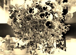 Szary + Sepia