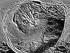 Skamielina