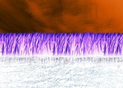 Negatyw