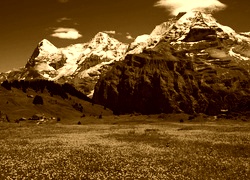 Sepia
