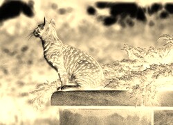 Sepia + Negatyw