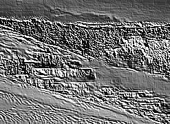 Skamielina