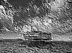 Skamielina