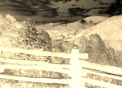 Sepia + Negatyw