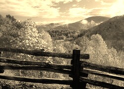 Szary + Sepia