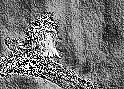 Skamielina