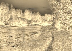 Sepia + Negatyw