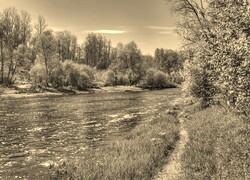 Szary + Sepia