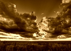 Sepia