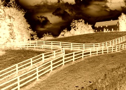 Sepia + Negatyw