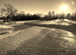 Szary + Sepia