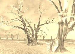 Sepia + Negatyw