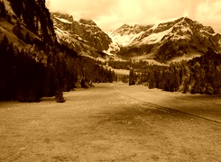 Sepia