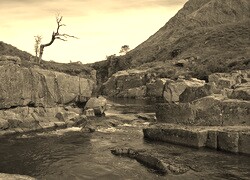 Szary + Sepia