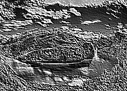 Skamielina