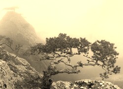 Szary + Sepia