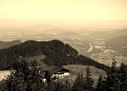 Szary + Sepia