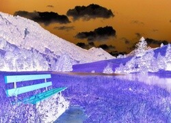 Negatyw