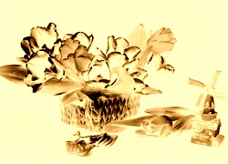Sepia + Negatyw