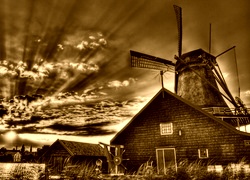 Sepia