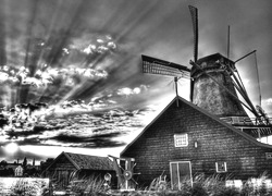Szary + Sepia