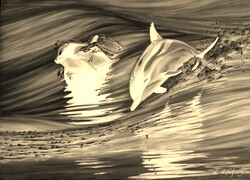 Sepia + Negatyw