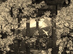 Szary + Sepia