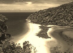 Szary + Sepia