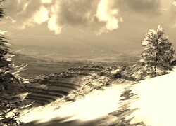 Szary + Sepia