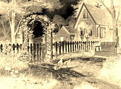 Sepia + Negatyw