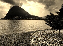 Szary + Sepia